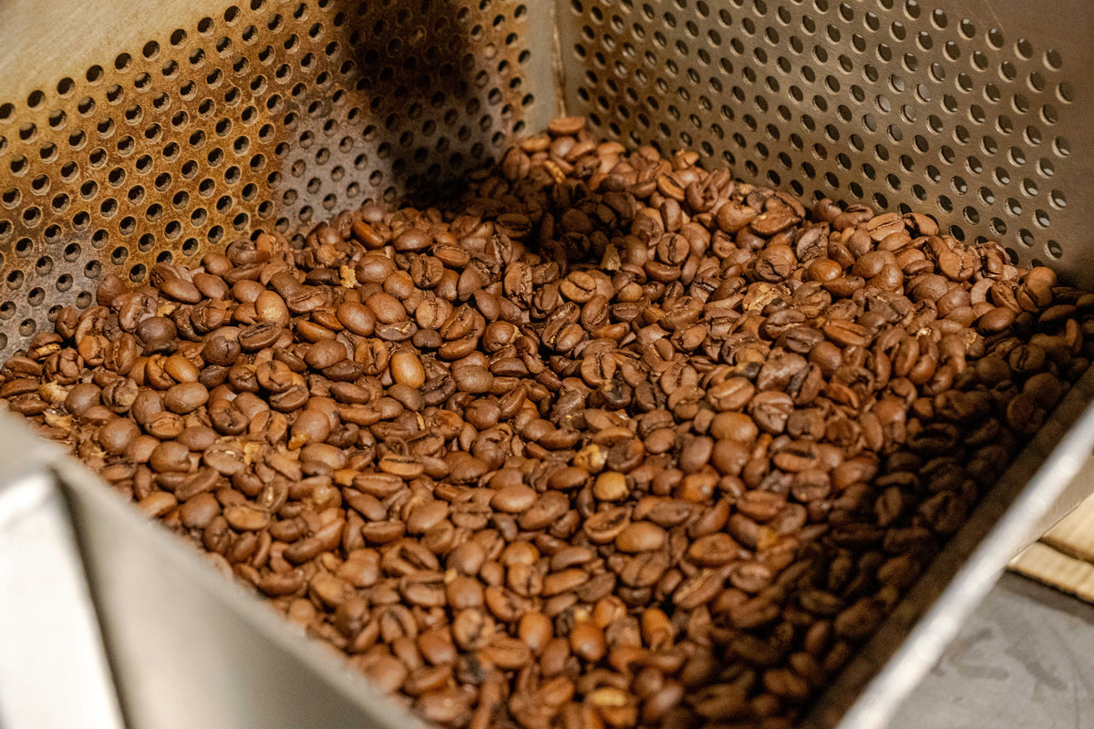 Light vs. Medium vs. Dark Roast. What Actually Changes