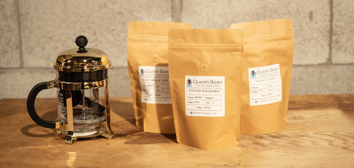 4 Reliable Coffees for an Everyday Fall Rotation