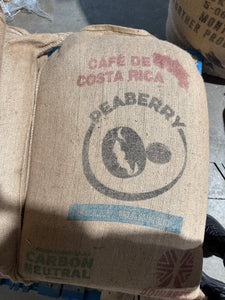 Roasted - Costa Rican Peaberry